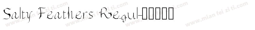 Salty Feathers Regul字体转换